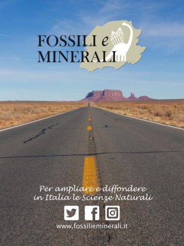 Fossili_e_Minerali_ads_MV.jpg