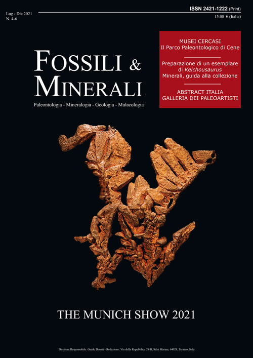 Rivista Fossili e Minerali