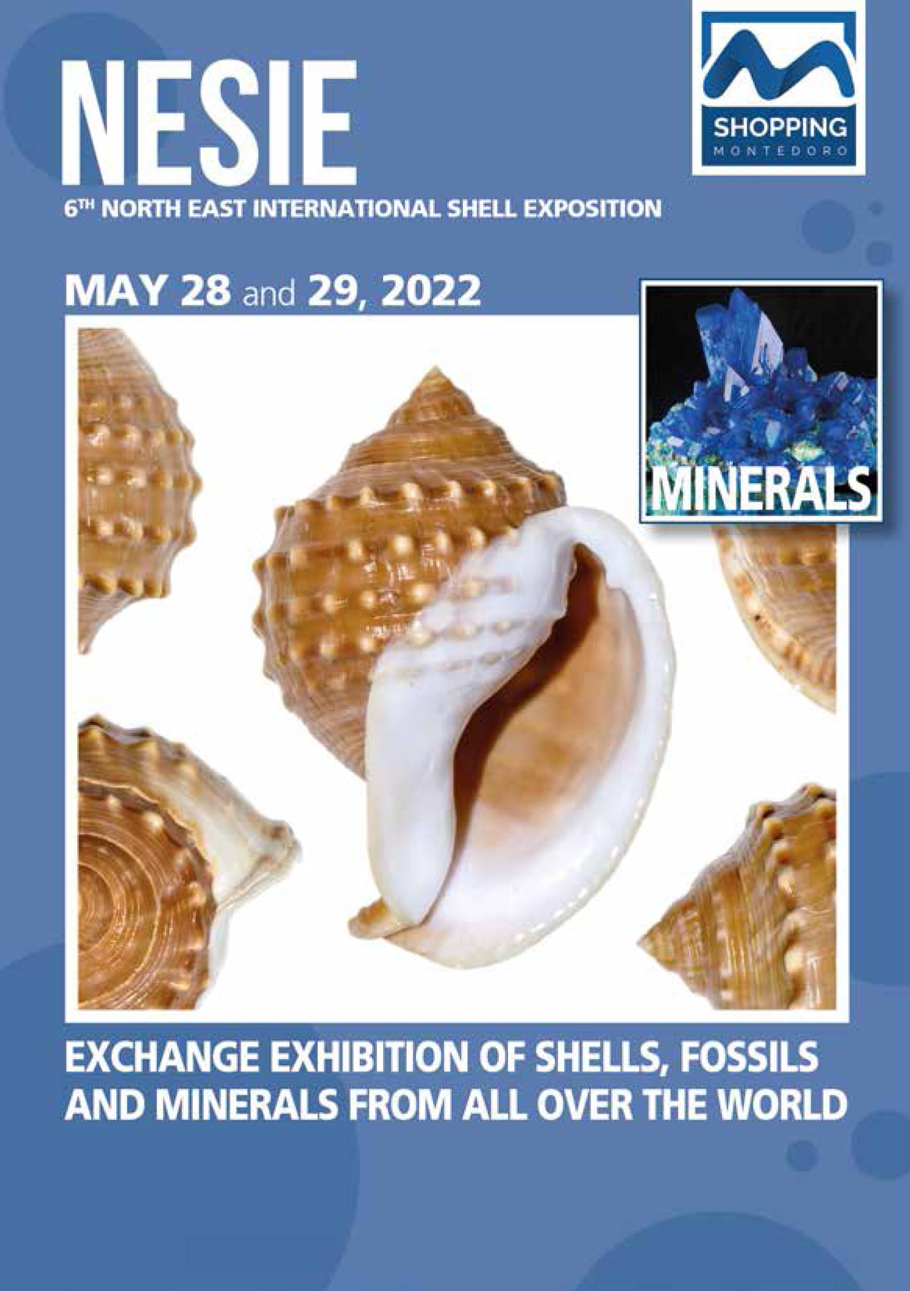 Nesie Shell Show 2022 - Trieste