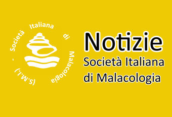 Verbale Riunione del Consiglio Direttivo della S.I.M. tenutosi a Napoli il 22 aprile 2023