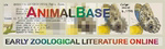 icon: AnimalBase - Early Zoological Literature Online
